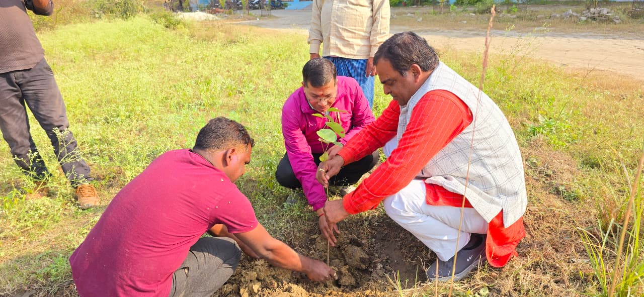 Eco & Green Initiatives